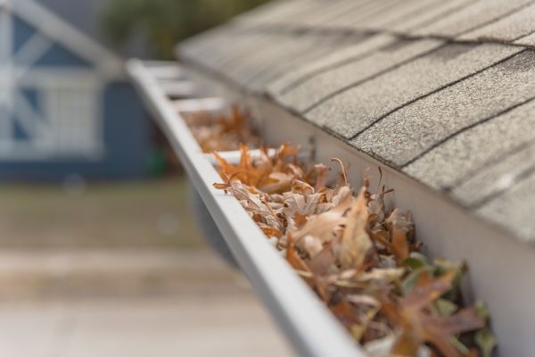 Leaf Barrier Installation in Waynesville